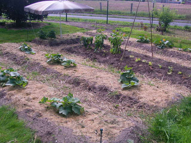 RIMG1475.JPG