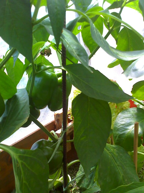 19-07-09_1303.jpg