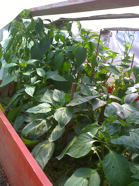 19-07-09_1301.jpg