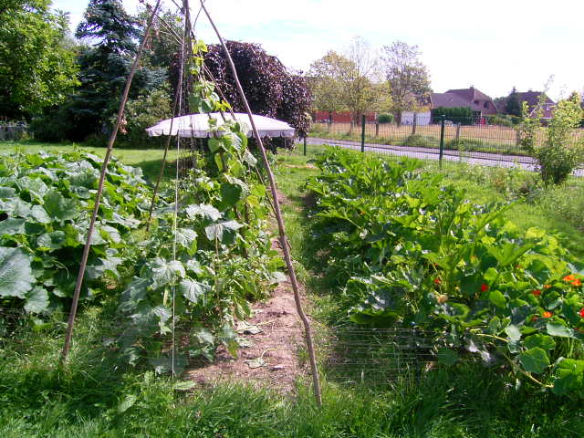 RIMG1547.JPG