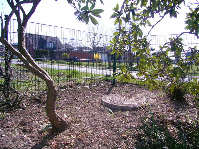RIMG0131.JPG