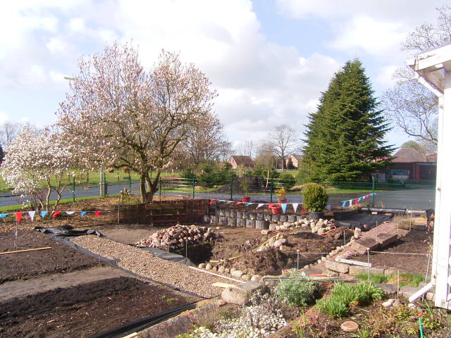 RIMG0137.JPG