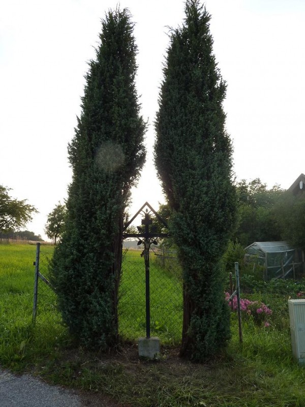 Wegkreuz1.jpg