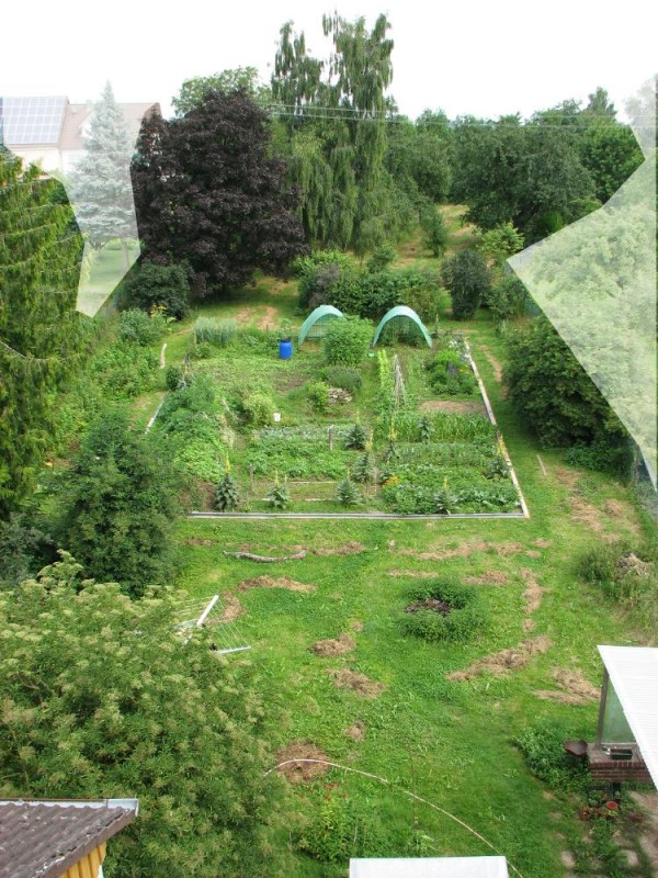 Garten.JPG