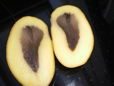 k-k-CIMG0462.JPG