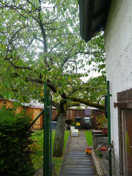 120706-Garten-1.jpg