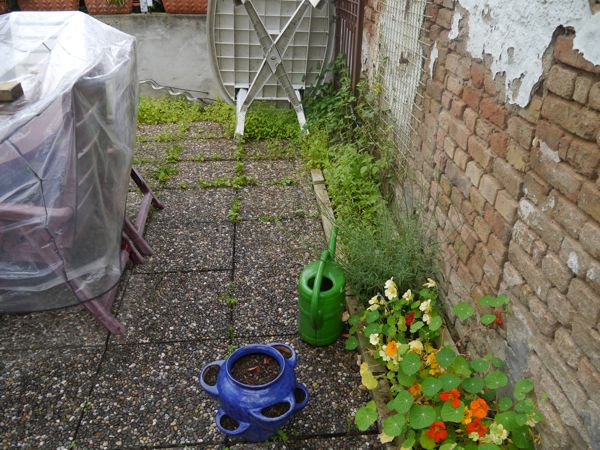 120706-Garten-2.jpg