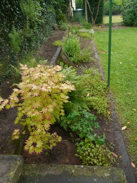 120706-Garten-3.jpg
