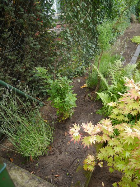 120706-Garten-4.jpg