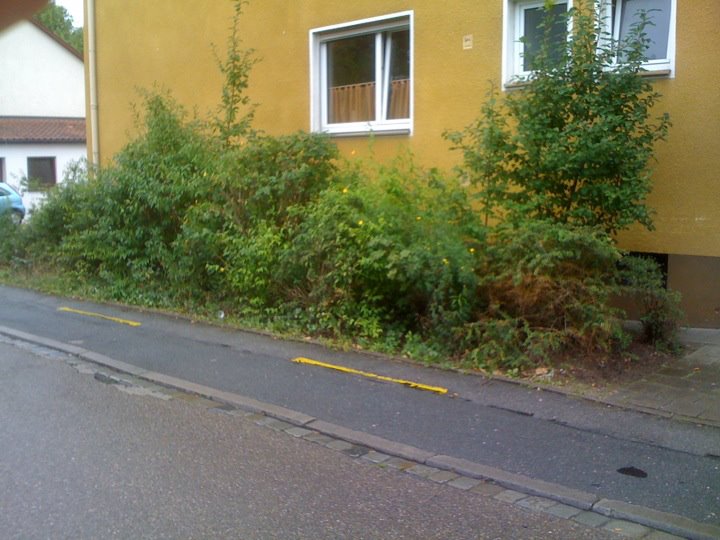 linke Seite.jpg