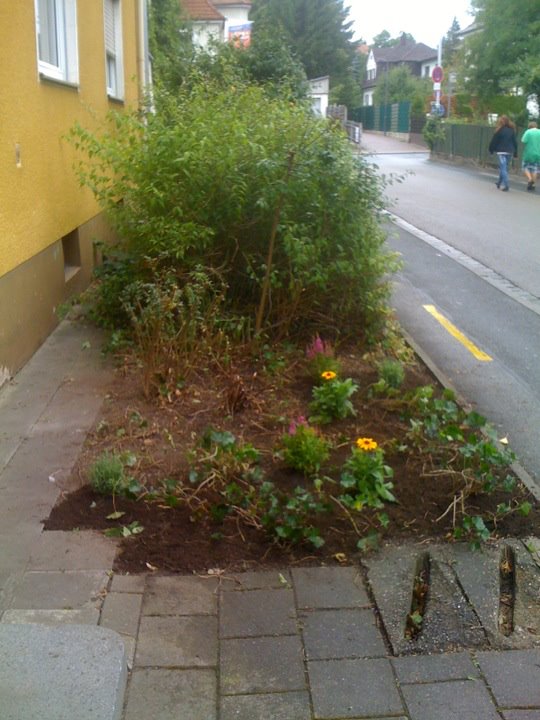 seitlich.jpg