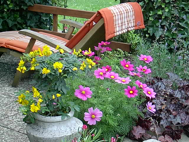Gartenbilder 12.07.2014 006.JPG