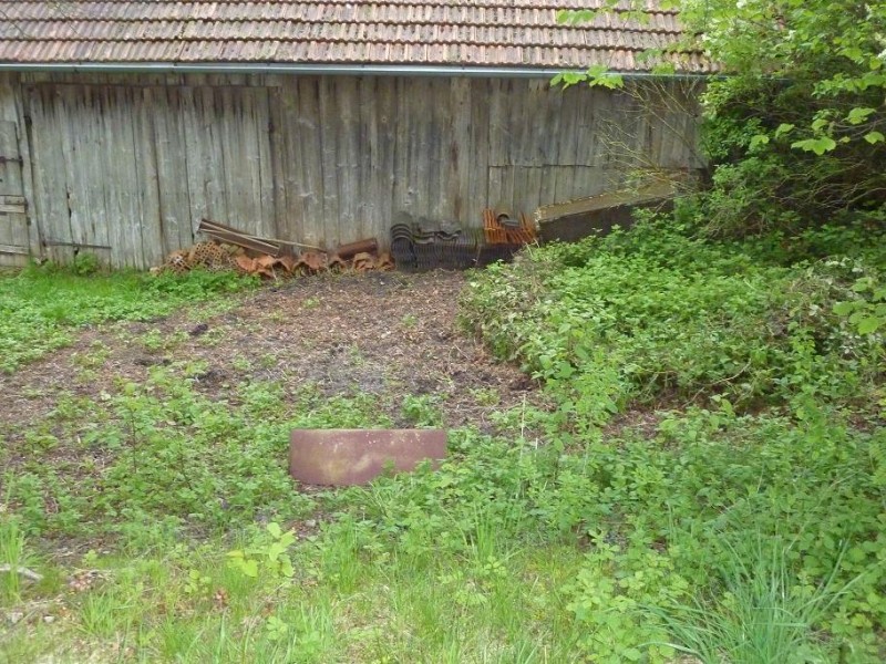 Hühnerauslauf5.jpg (196.41 KiB) 9283 mal betrachtet Hühnerauslauf5.jpg