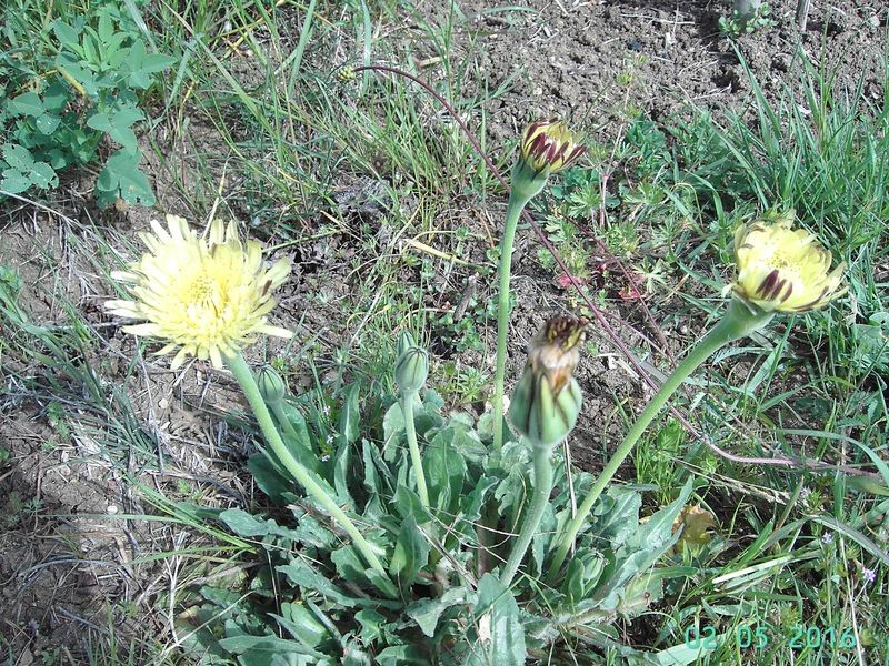 PICT4496_ergebnis.JPG (223.91 KiB) 7468 mal betrachtet PICT4496_ergebnis.JPG