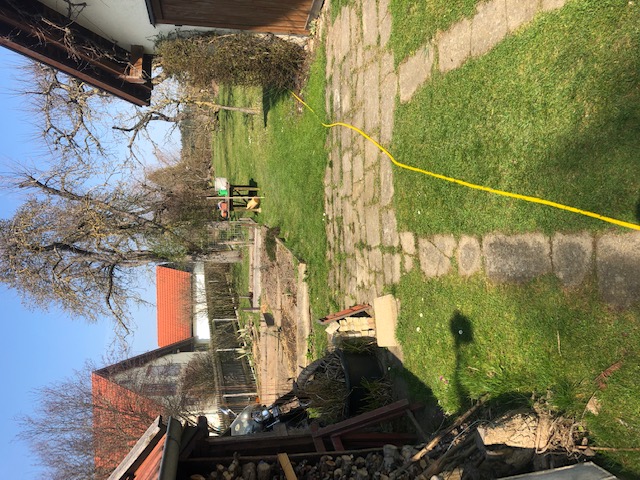 2020-03-20-1.JPG