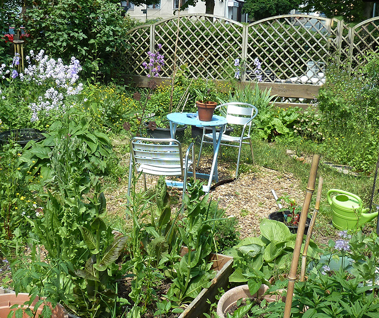 garten juni 21 Kopie.jpg