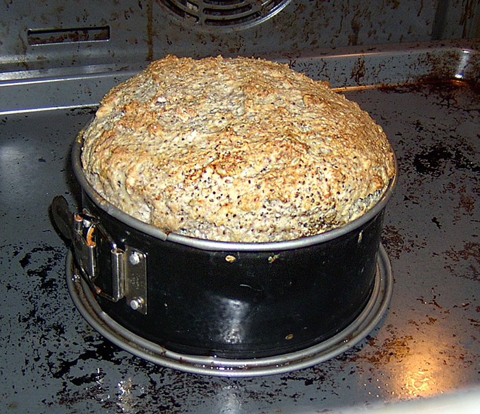 brot1.jpg