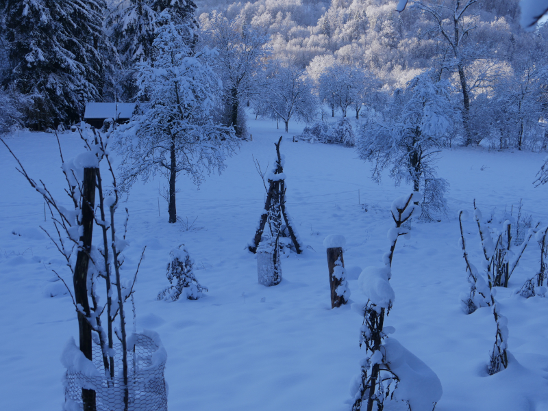 Permakultugarten Lichtenstein  im Schnee.JPG