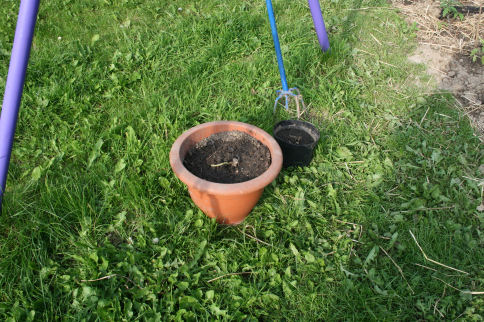 Speicherkarte 21.5.09 139.jpg