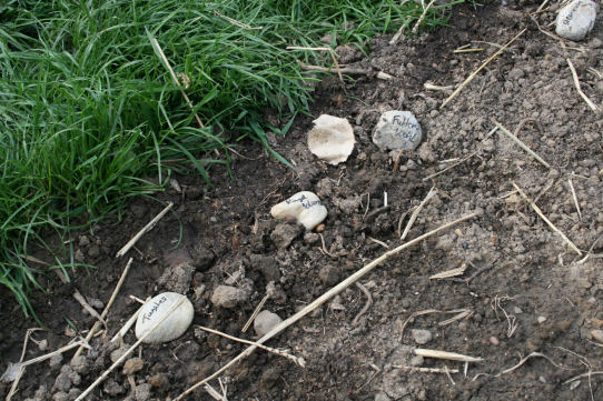 Speicherkarte 21.5.09 157.jpg