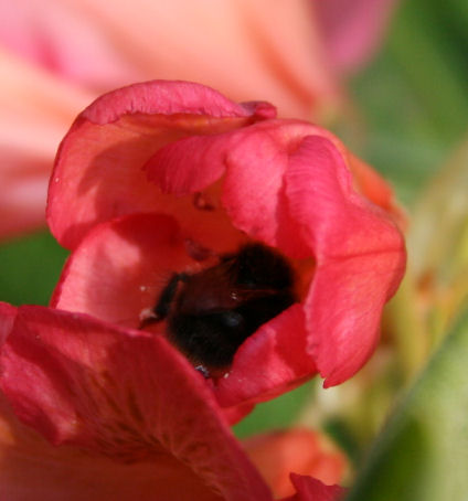 Speicherkarte 21.5.09 147.jpg