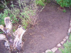 RIMG0974.JPG