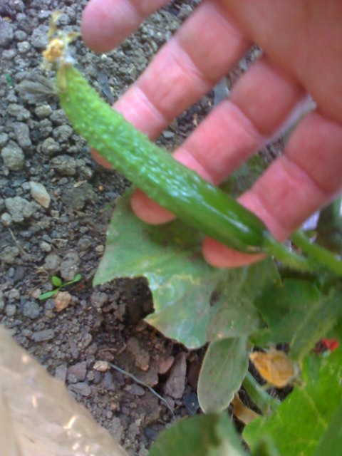 11-06-09_1824.jpg