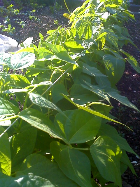 11-06-09_1820.jpg