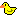 canard :canard: